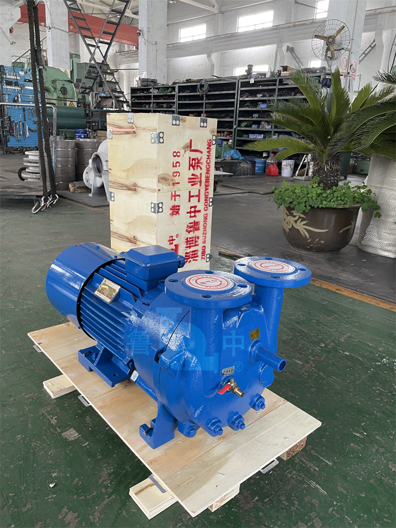 Liquid Ring Vacuum Pump and Compressor