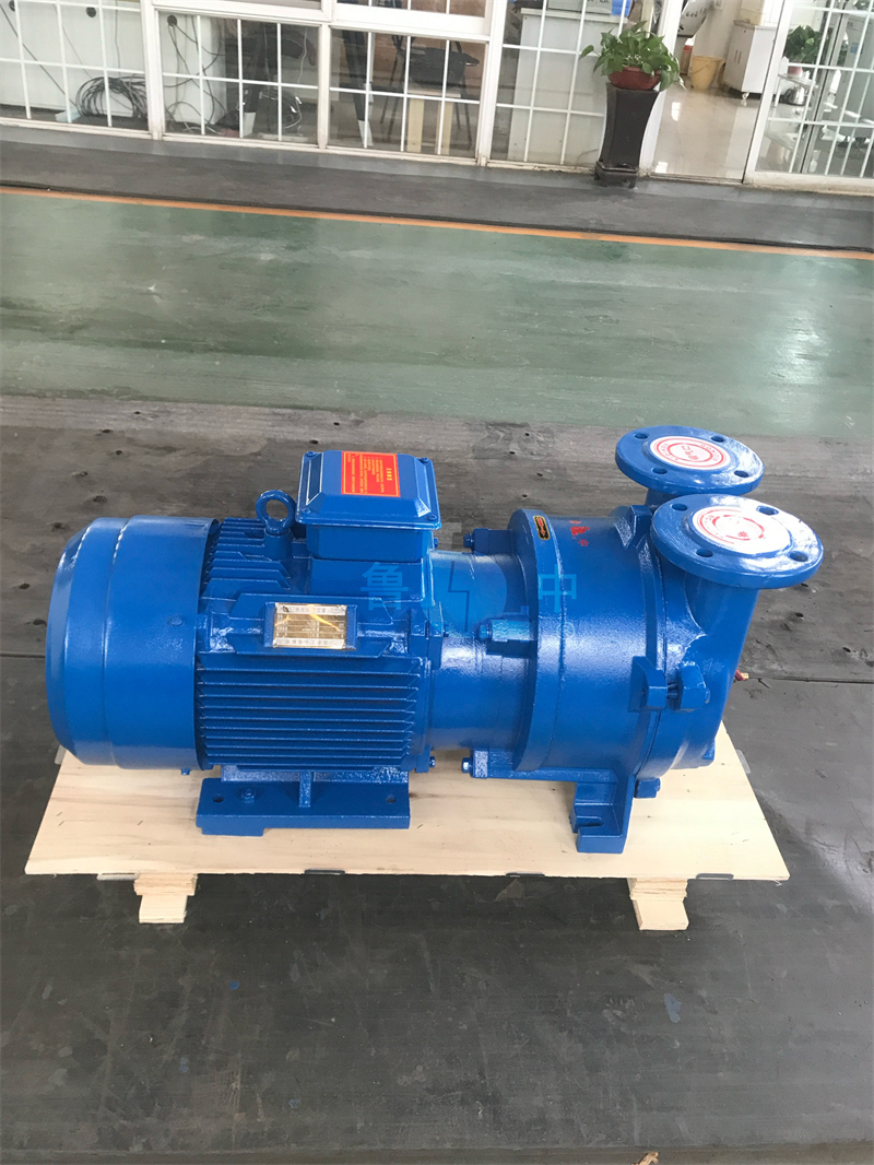 Liquid Ring Vacuum Pump and Compressor